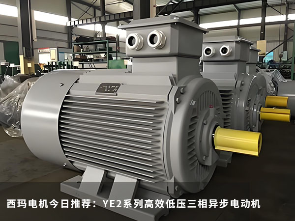 YE2系列高效低壓三相異步電動(dòng)機.jpg