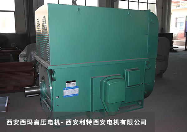 西安西瑪高壓電機